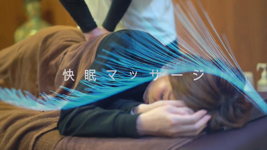 睡眠の質を高めて仕事の改善・効率化を図りたい方へ　不眠症や慢性病、体質改善にも 46684-183-