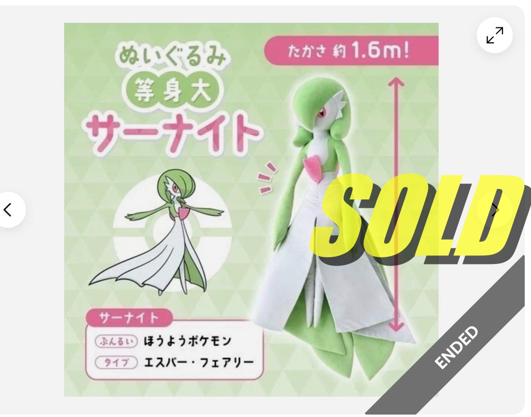 ポケモンの等身大ぬいぐるみが売れました！ - 引きこもり、発達障害