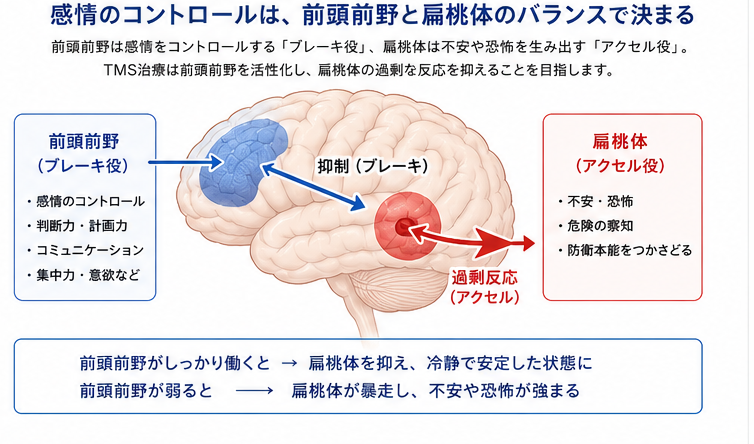 感情のコントロール