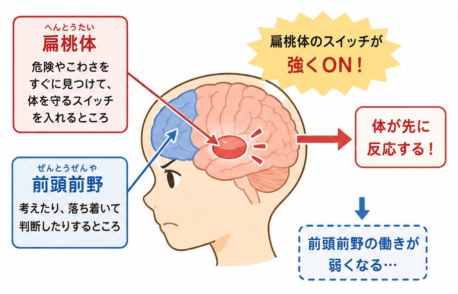 扁桃体優位