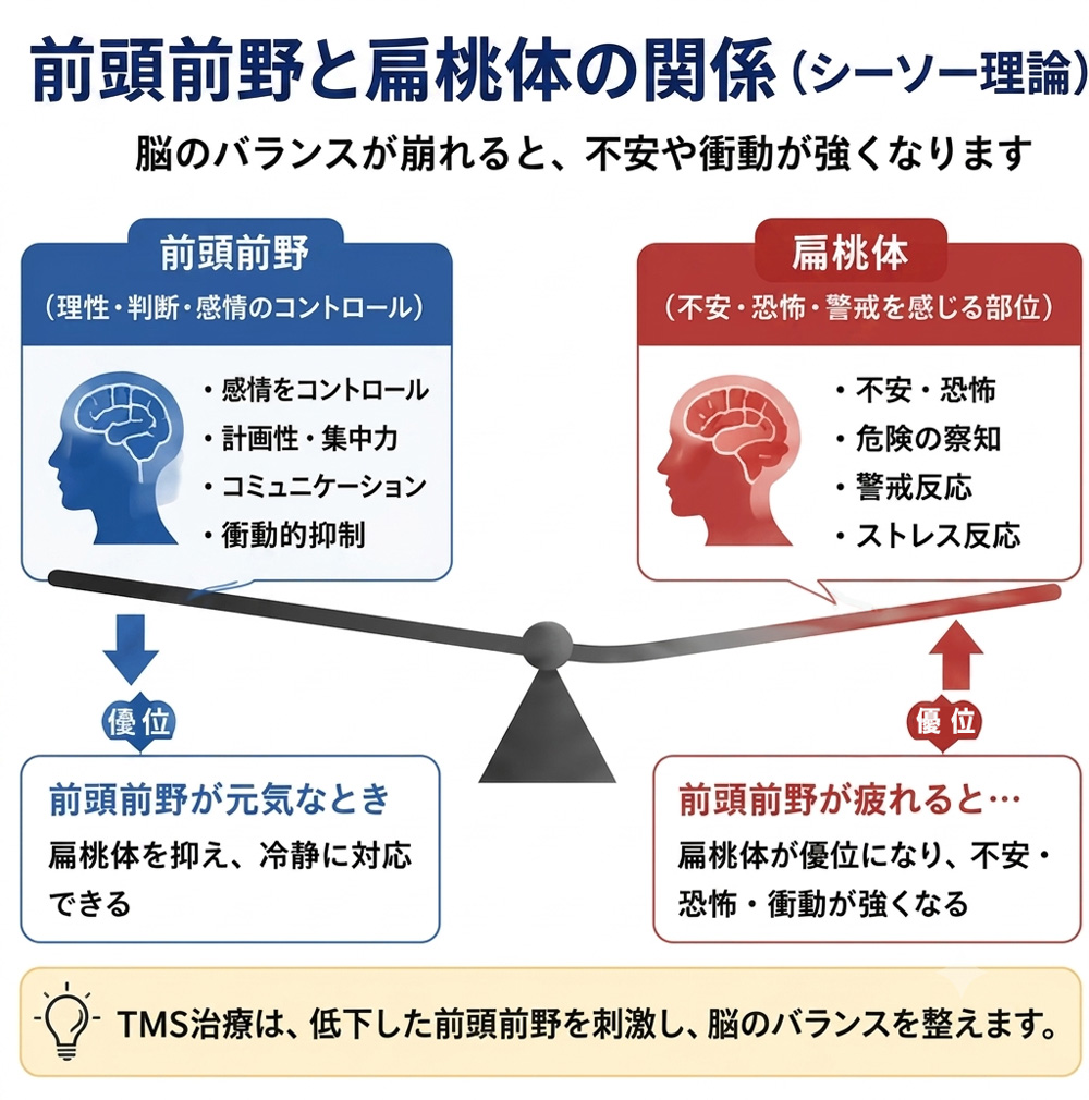 前頭前野と扁桃体の関係
