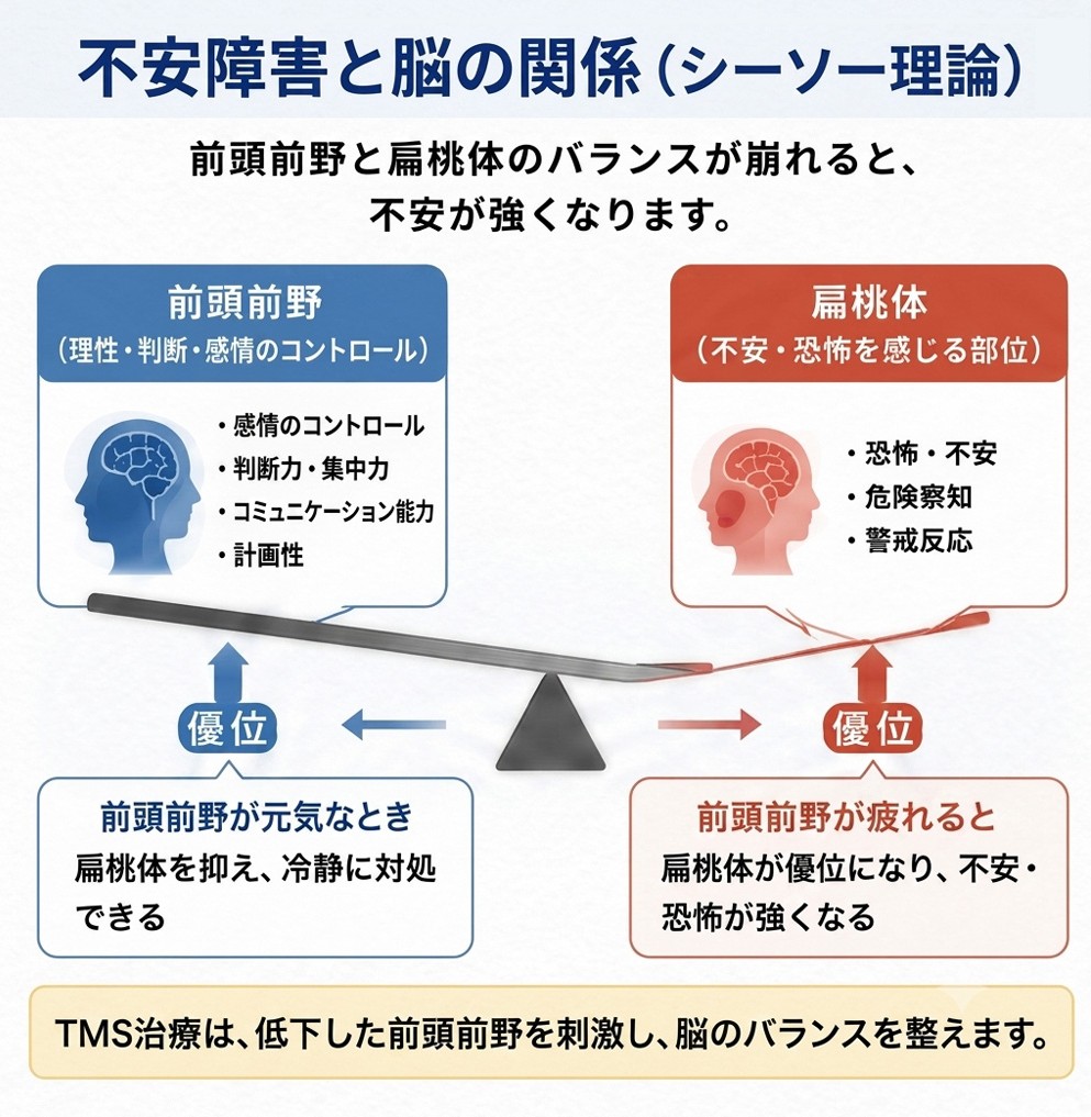 前頭前野と扁桃体のバランス